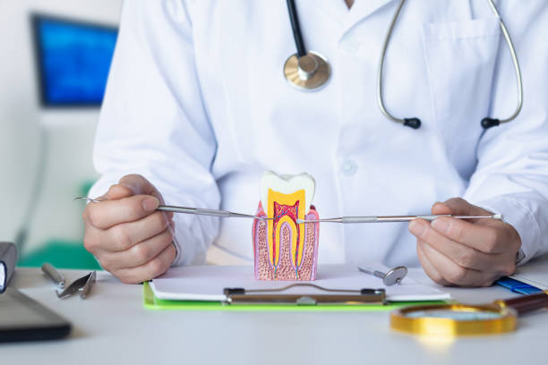 Best Urgent Dental Care for Toothaches in Decorah, IA